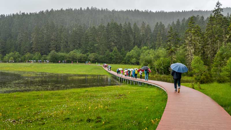 Washington Burial Insurance: 5 Fool-Proof Questions To Ask 5 Washington Burial Insurance forest green